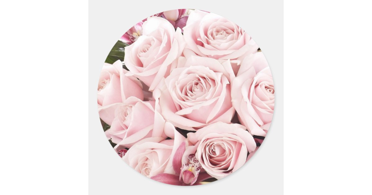 Pink Roses Classic Round Sticker | Zazzle
