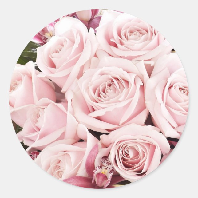 Pink Roses Classic Round Sticker (Front)