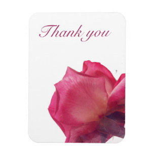 Pink Roses. floral Illustration. Magnet