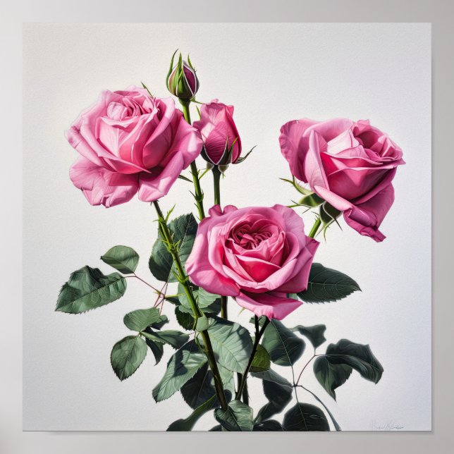Pink Roses Flower Art Print Poster (Front)