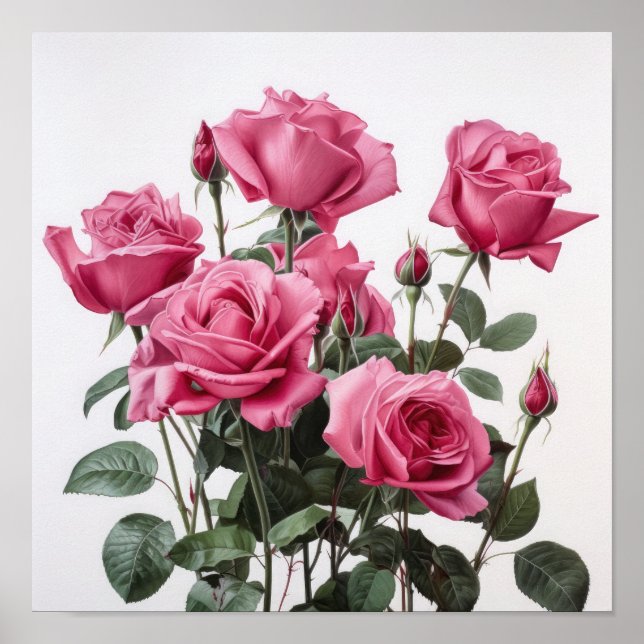 Pink Roses Flower Art Print Poster (Front)