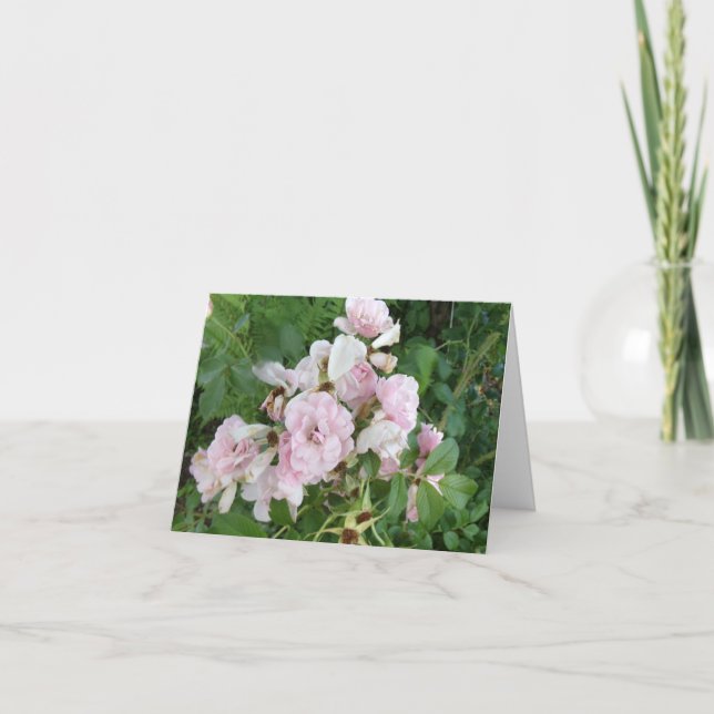 Pink Roses Folded Note Card (Front)