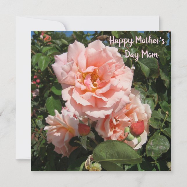 Pink Roses For Mom Holiday Card (Front)