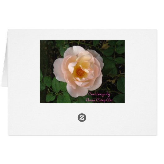 Pink roses for you (Back Horizontal)