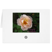 Pink roses for you cards (Back Horizontal)