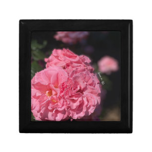 Pink Roses Gift Box