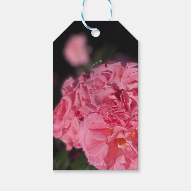Pink Roses  Gift Tags (Front)