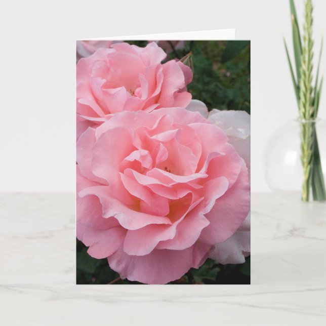 Pink Roses Greeting Card (Front)