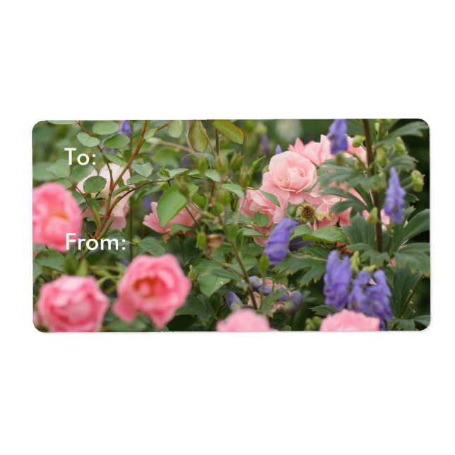 Pink Roses in a Rose Garden Label (Front)