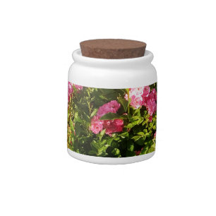 Pink Roses in bloom Candy Jar