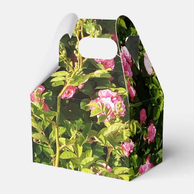 Pink Roses in bloom  Favor Boxes (Front Side)