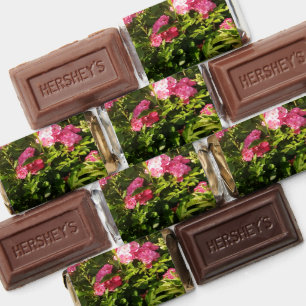 Pink Roses in bloom Hershey's Miniatures