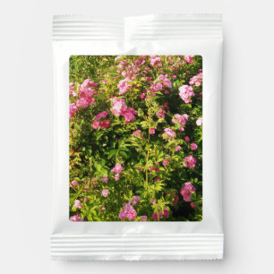 Pink Roses in bloom  Margarita Drink Mix
