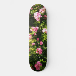 Pink Roses in bloom  Skateboard