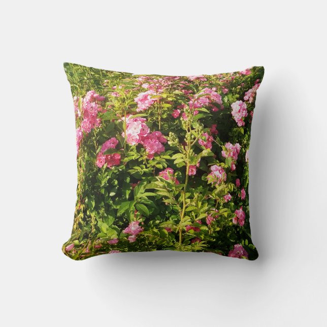 Pink Roses in bloom  Throw Pillow (Front)