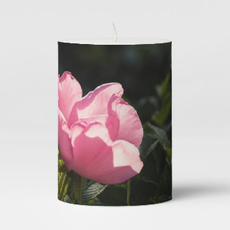 Pink roses in golden garden light pillar candle