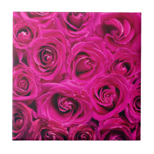 Pink Roses (Love and Romance) Ceramic Tile