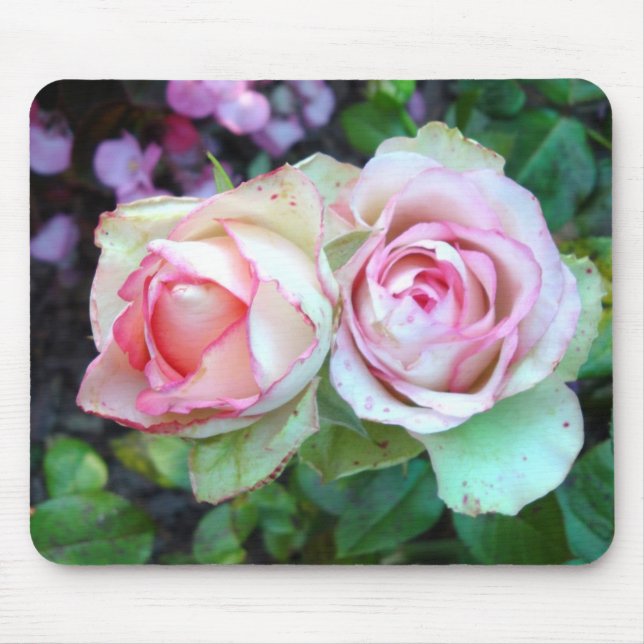 Pink Roses Mouse Pad (Front)