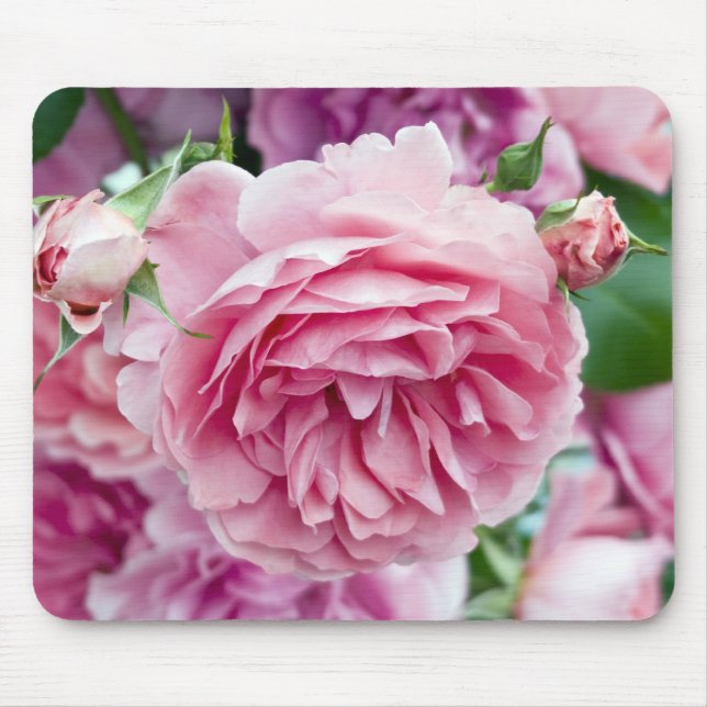 Pink Roses Mouse Pad (Front)