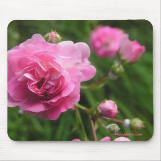 Pink Roses Mousepad