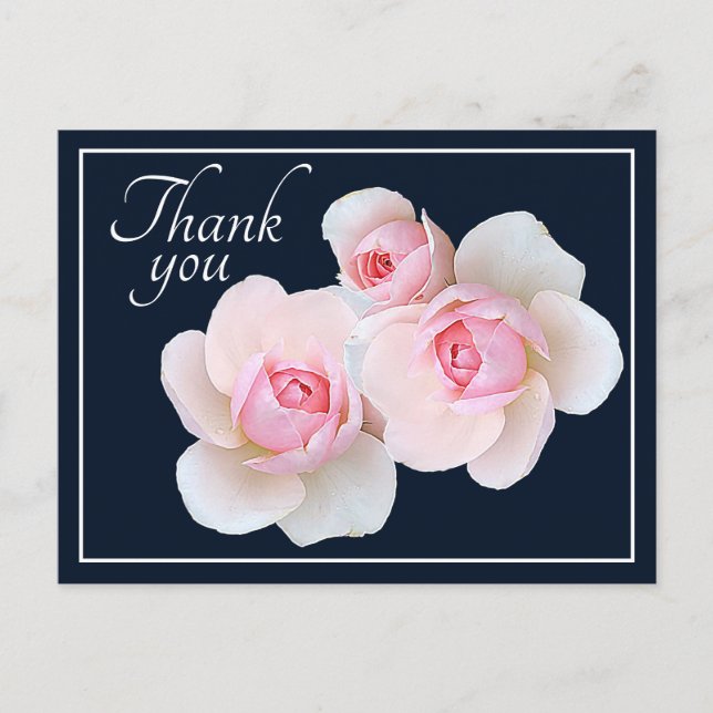Pink Roses Navy Background Thank you Postcard (Front)