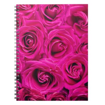 Pink Roses Notebook by usadesignstore at Zazzle