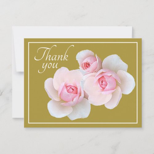 Pink Roses Olive Background Thank You Postcard