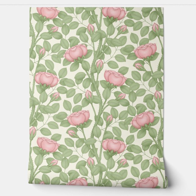 Pink Roses on cream Wallpaper (Unrolling)