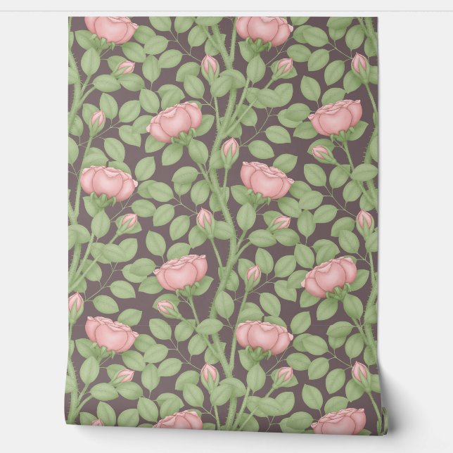 Pink Roses on dark plum Wallpaper (Unrolling)