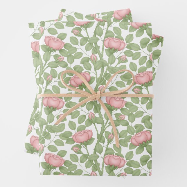 Pink Roses on white Wrapping Paper Sheets (In situ)