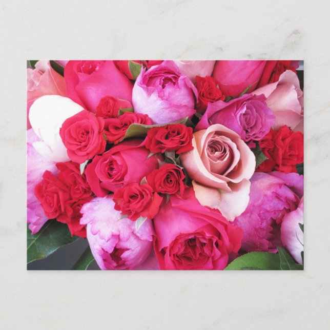 Pink Roses Paris Postcard (Front)