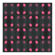 Pink Roses Pattern