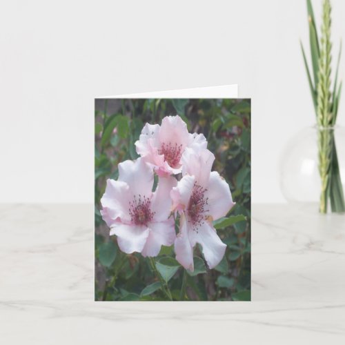 Pink Roses Photo Folded Note Card