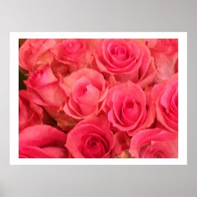 Pink Roses Photo Poster (Front)