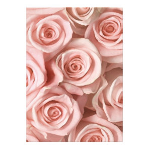 Pink roses photo print