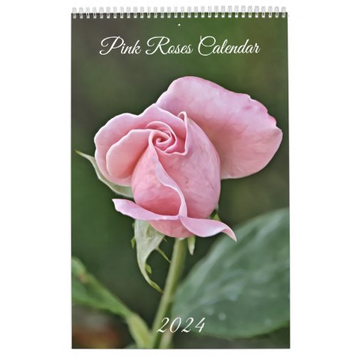 Pink Roses Photographic Art Flower Calendar 2024