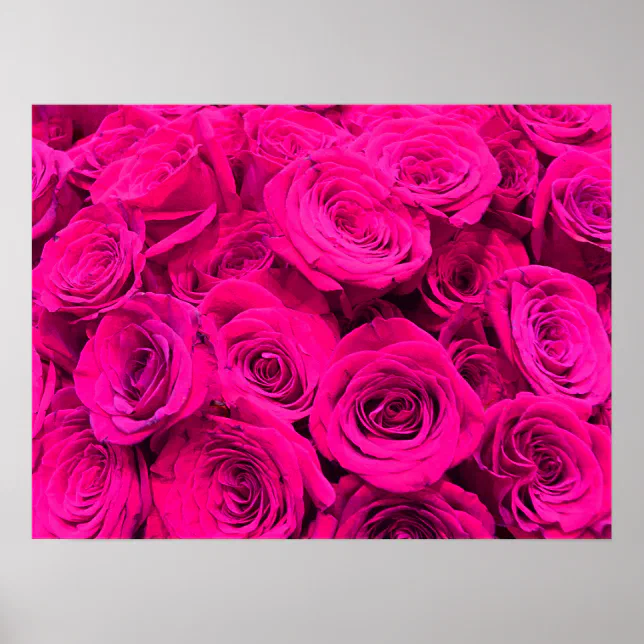 Pink roses pink flowers pink floral poster | Zazzle