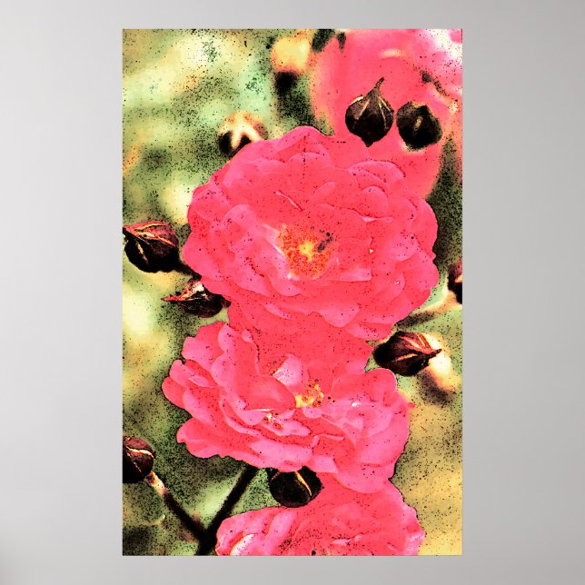 Pink Roses Poster - Digital Photo Floral Art (Front)