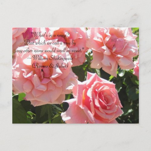Pink Roses Shakespeare Quote Postcard