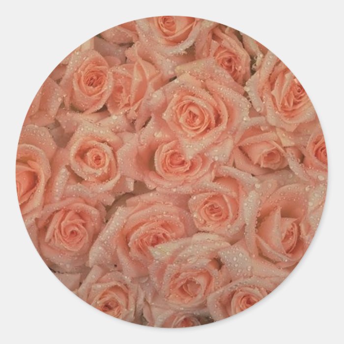 Pink Roses Sticker