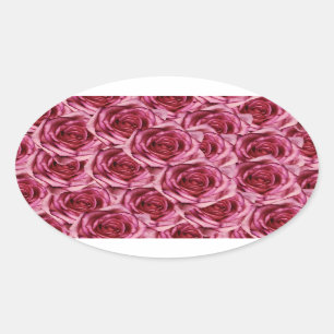 Pink Roses Sticker