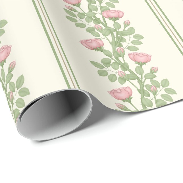 Pink Roses & Stripes on Cream Wrapping Paper (Roll Corner)
