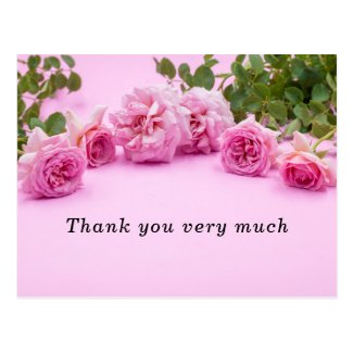 Pink roses Thank you card on pink background