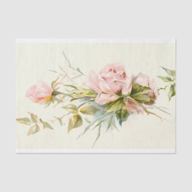Pink Roses Vintage Tissue Paper (Front)