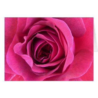 pink rostic cards