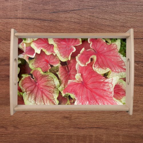 Pink Ruffled Caladium Leaves Floral Serving Tray