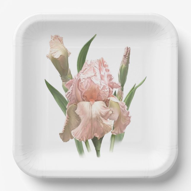 Pink Ruffled Iris Botanical Art Paper Plates (Front)