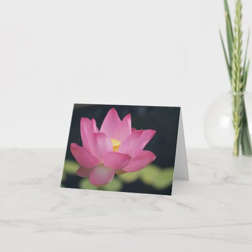 Pink sacred lotus flower note card