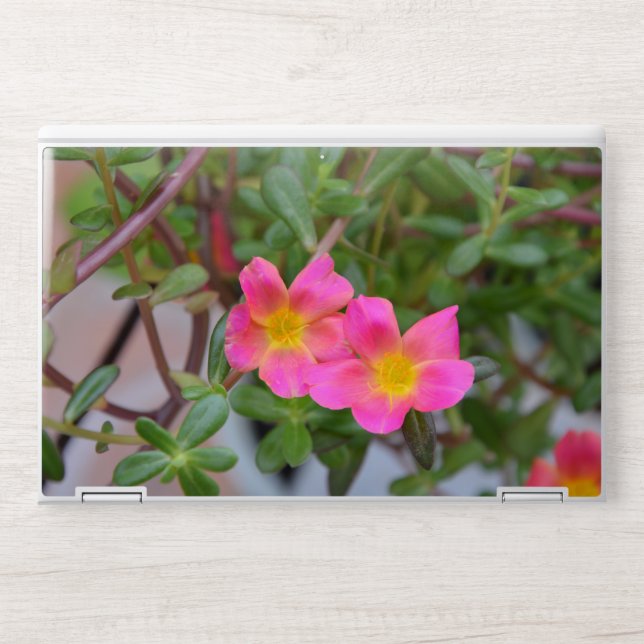 Pink Sage Leaves  Pattern HP Laptop Skin (Front)