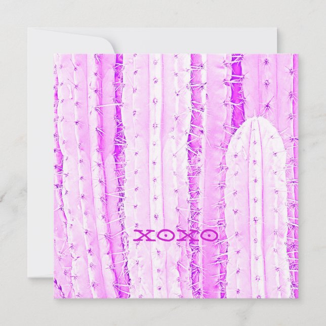 Pink Saguaro Cactus XOXO Photo Art Fun  Card (Front)